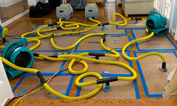Professional Water Extraction technician working in Old Greenwich, CT